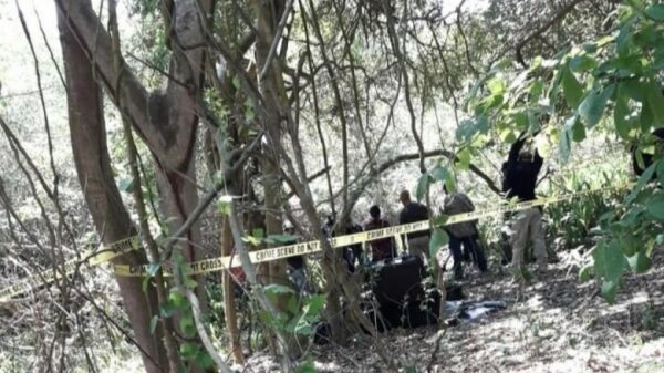 En fosas clandestinas de Tecomán hallan al menos 31 cuerpos