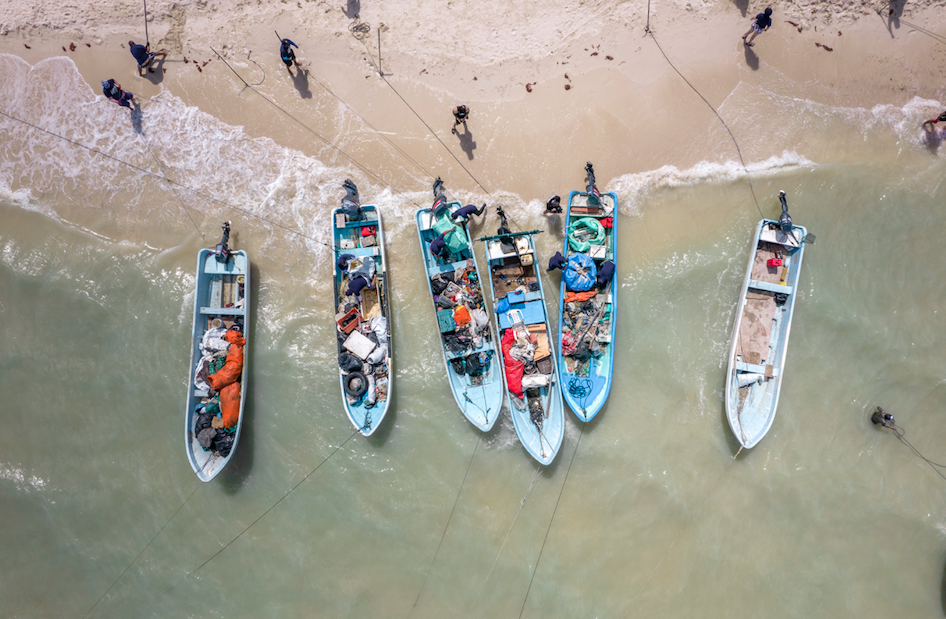 Pesca de plástico