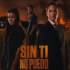 Sin ti no puedo