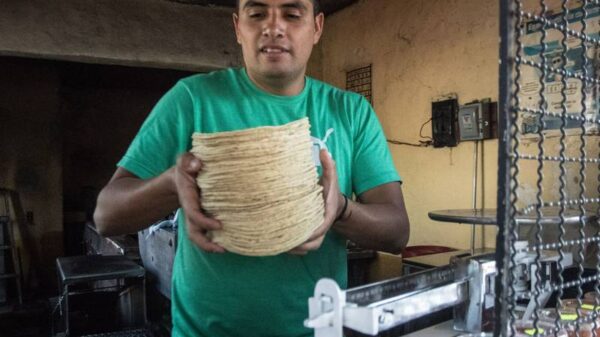 Aumenta 25% el kilo de tortilla