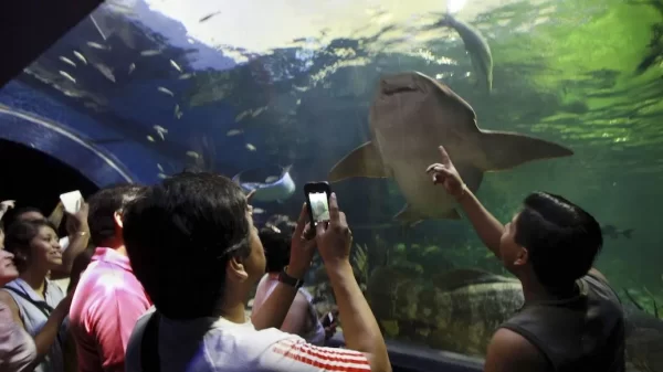 Acuario de Veracruz pasa a manos del gobierno