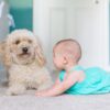 Investigan posible relación entre los perros y la hepatitis infantil