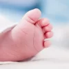 Diputados frenan estudios a recién nacidos por falta de presupuesto