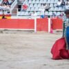 Juez ordena suspender corridas de toros en CDMX