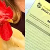 Notifican a joven porque su gallo canta muy fuerte