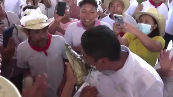 Alcalde de Oaxaca se casa con un caimán para asegurar abundancia