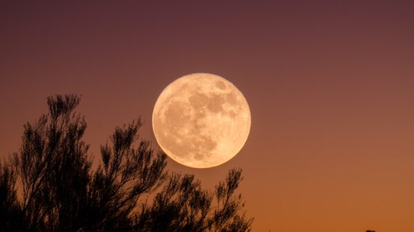 Cuándo y cómo ver la Superluna de Ciervo