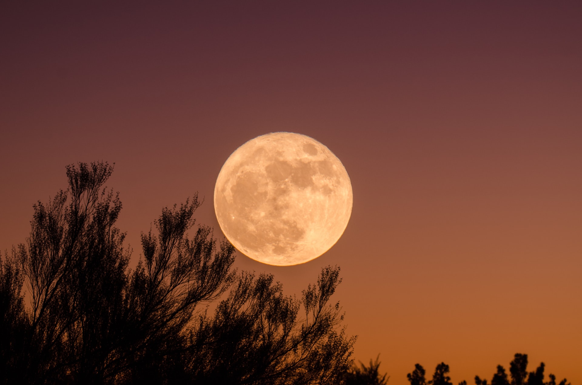 Cuándo y cómo ver la Superluna de Ciervo