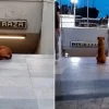 Esta es la historia viral del perrito que espera a su dueña en el Metro La Raza