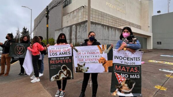 ¡Histórico! Se lleva a cabo el primer juicio penal por maltrato animal en México