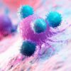 Descubren células malignas que provocan metástasis en cáncer
