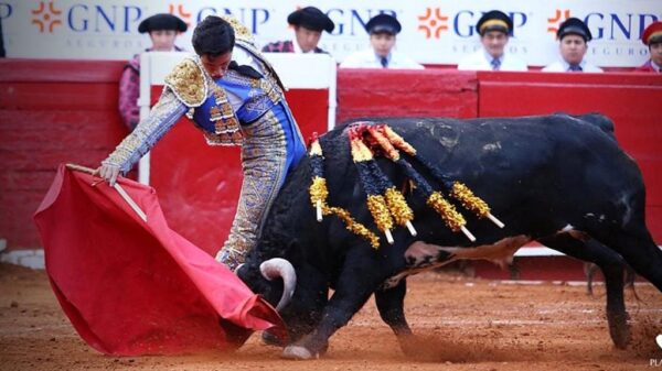 No habrá temporada grande en la Plaza de Toros México