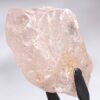 Encuentran el diamante rosa más grande de los últimos 300 años