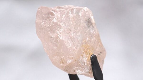 Encuentran el diamante rosa más grande de los últimos 300 años