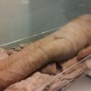 Museos dejan de usar la palabra momia por considerarla ofensiva