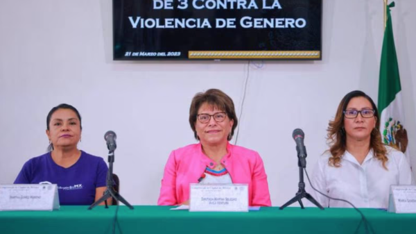 personas acusadas de violencia de género no puedan ocupar cargos públicos