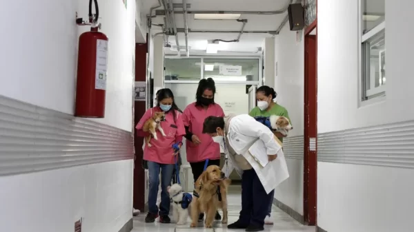 Sedesa brinda terapia con perros a niños hospitalizados / Sedesa